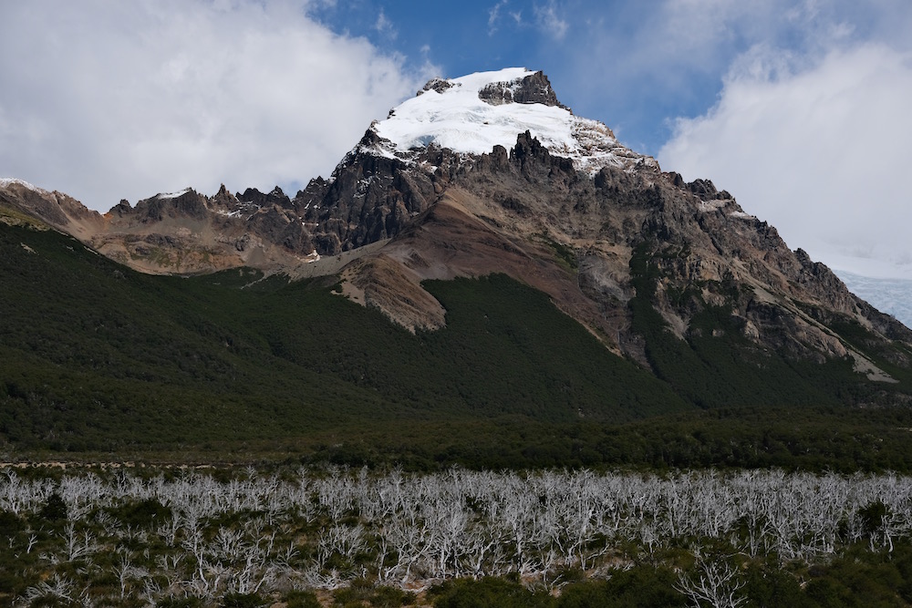 Laguna Torre trail